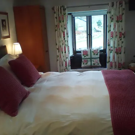 Guest house Buckle Yeat