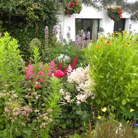 Buckle Yeat Near Sawrey