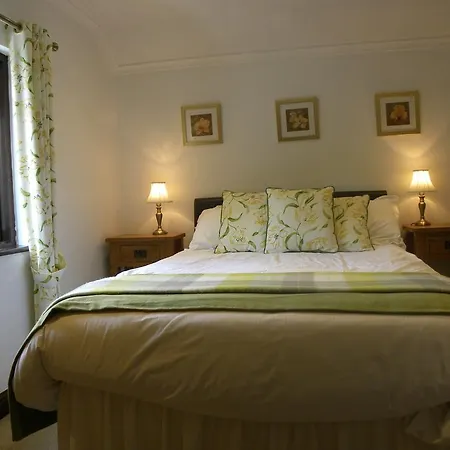 Guest house Buckle Yeat